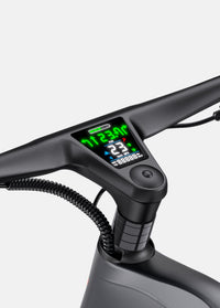 ENGWE N1 Pro
