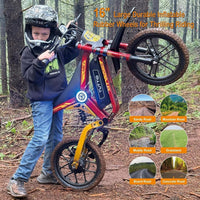 TUTTIO ARC-I Kids Electric Dirt Bike – 750W Motor with 36V 13Ah Battery for Ages 5-8 – ARC-I