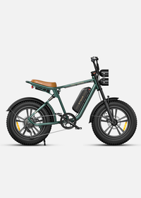 ENGWE M20