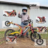 TUTTIO ARC-I Kids Electric Dirt Bike – 750W Motor with 36V 13Ah Battery for Ages 5-8 – ARC-I