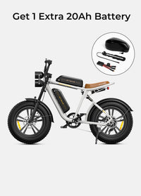 ENGWE M20