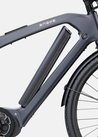 ENGWE N1 Pro