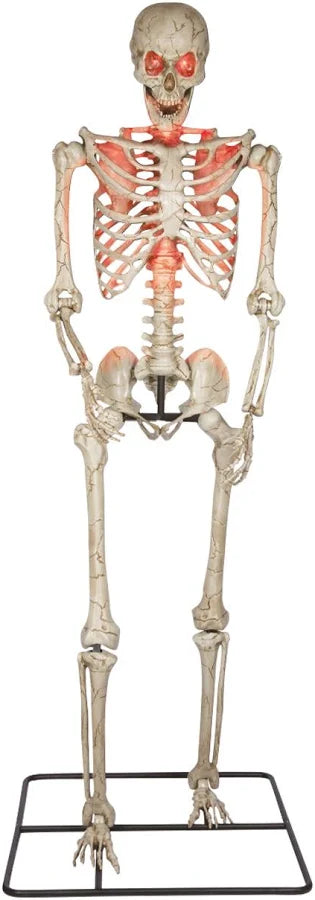 compare product Gigantic Giant Skeleton 3 Meters
