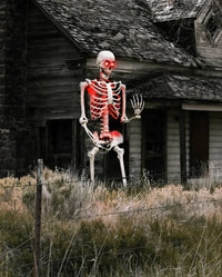Gigantic Giant Skeleton 3 Meters